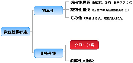 炎症性腸疾患の分類