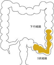 排便のメカニズム